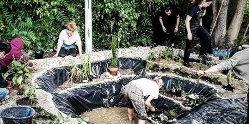 Eine Menschengruppe legt einen Teich an.
